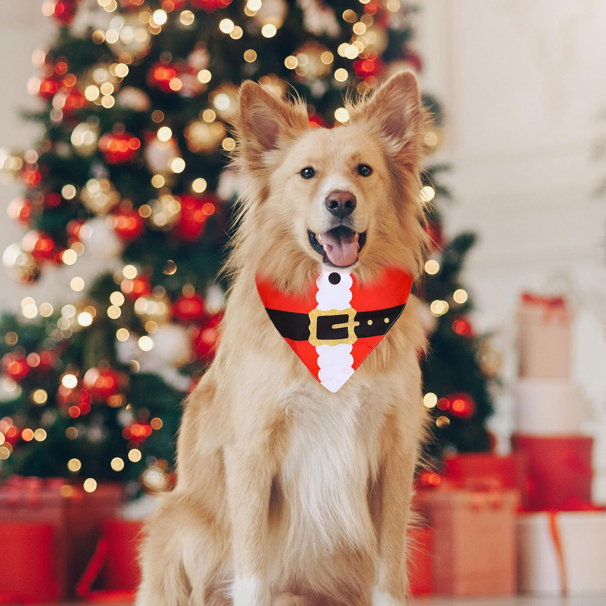 2Pcs Christmas Dog Bandanas in Santa and Elf Designs
