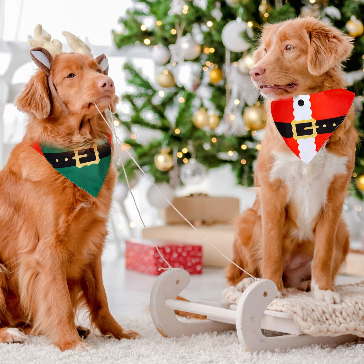 2Pcs Christmas Dog Bandanas in Santa and Elf Designs
